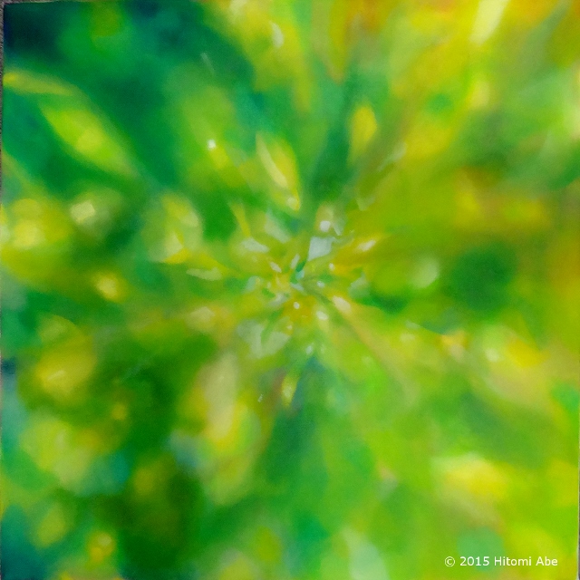 SunnySpot1 c 2015 Hitomi, oil on canvas, 45.5 x 45.5 cm (S8)