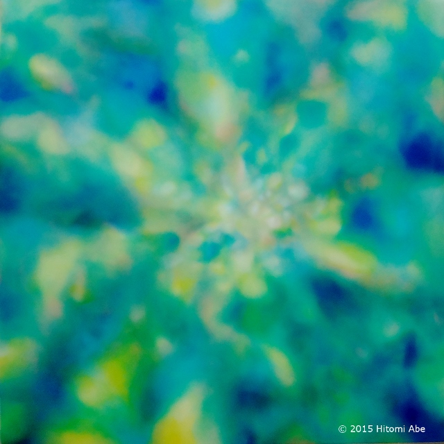 SunnySpot2 c 2015 Hitomi, oil on canvas, 45.5 x 45.5 cm (S8)